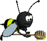 abeil 56
