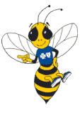 abeil 63