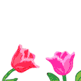 abeil 69