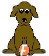 alpha 06