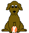 alpha 24