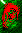 alpha 06