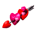 amour 14