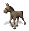 ane 06