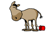 ane 08