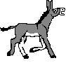 ane 11