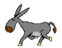 ane 14