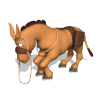 ane 15