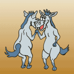 ane 19