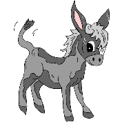 ane 20