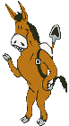 ane 21