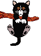 chat 21