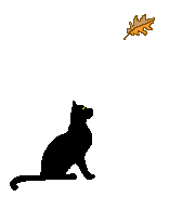chat 36