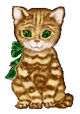 chat 41