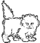 chat 58