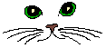 chat 102