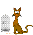 chat 115