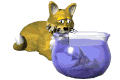 chat 120