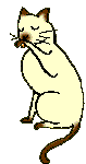 chat 124