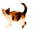 chat 132