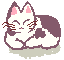chat 138