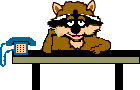 chat 146