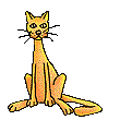 chat 176