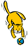 chat 177
