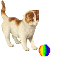 chat 182