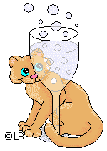 chat 188