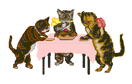 chat 195