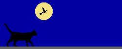 chat 76