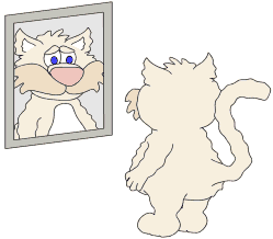 chat 228