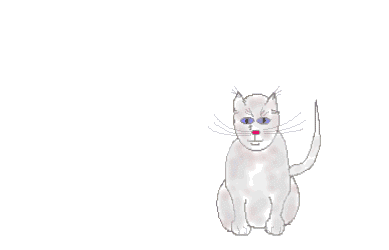 chat 239