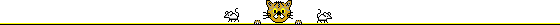 chat 242