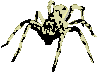 araignee 28