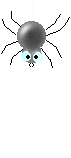 araignee 31