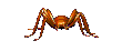 araignee 58