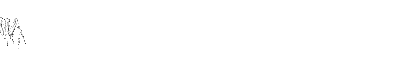 araignee 64