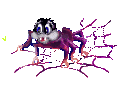 araignee 65