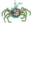 araignee 73