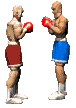 boxe 09