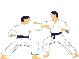 boxe 23