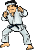 boxe 29