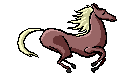 cheval 01
