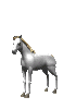 cheval 02