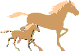 cheval 07
