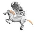 cheval 08