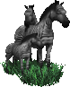 cheval 09