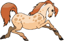 cheval 10